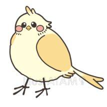 かわいい小鳥