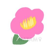 かわいい手書きの椿,冬,冬の花,和風,手書きの椿,椿,花のイラスト素材