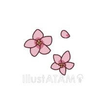 かわいい桃の花,桃の花,花のイラスト素材