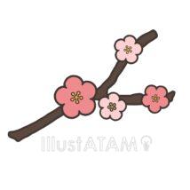 かわいい梅の花（枝）
