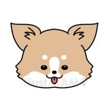 かわいい犬（チワワ）,かわいい犬,チワワ,動物の顔,犬のイラスト素材