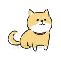 かわいい犬（柴犬）,かわいい犬,柴犬,犬のイラスト素材