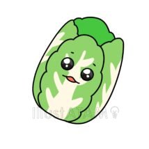 かわいい白菜