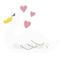 かわいい白鳥