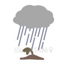 かわいい酸性雨