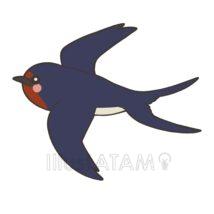 かわいいツバメ