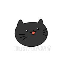 かわいい黒猫の顔