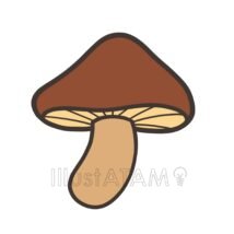 きのこ