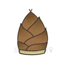 たけのこ（皮付き）