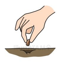 たねまき