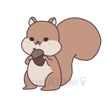 どんぐりを持つかわいいリス