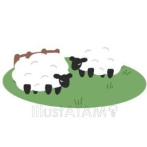 ひつじ牧場
