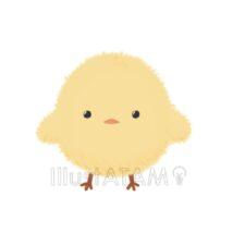 ふわふわの鳥のひな