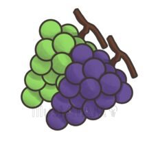 ぶどう