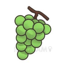 ぶどう（マスカット）