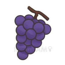 ぶどう（巨峰）