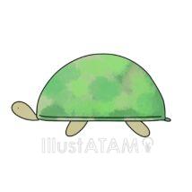 ほんわかかわいい亀