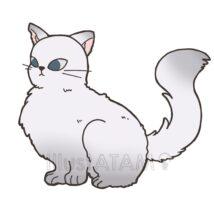もふもふの猫（白色）