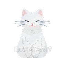 もふもふの白猫