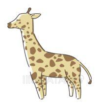 ゆるいかわいいキリン