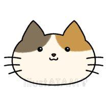 ゆるいかわいい三毛猫