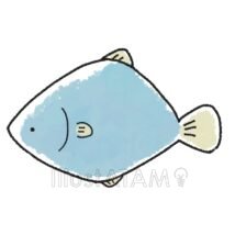 ゆるいかわいい魚,キャラクター,水族館,海の生き物,魚のイラスト素材