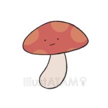 ゆるいきのこ
