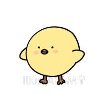 ゆるいひよこ