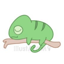 ゆるいカメレオン
