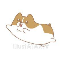 ゆるいコーギー