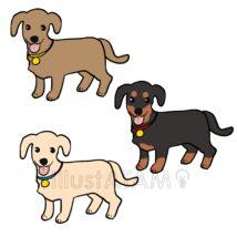 ゆるいダックスフンド