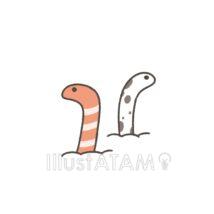 ゆるいチンアナゴ