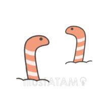 ゆるいチンアナゴ（内向き）