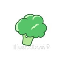 ゆるいブロッコリー,ブロッコリー,ゆるい,野菜のイラスト素材