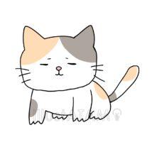 ゆるい可愛い猫