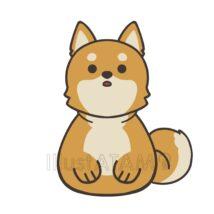 ゆるい柴犬（正面）