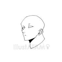 アオリの輪郭（横顔）