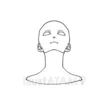 アオリの輪郭（正面顔）