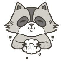 アライグマの手洗い