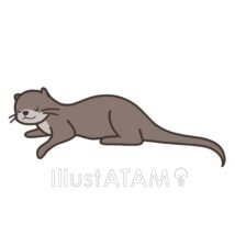 カワウソ