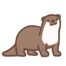 カワウソ（全身）