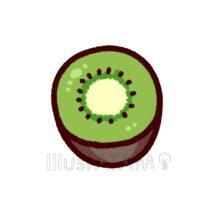 キウイフルーツ（緑色）