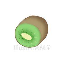 キウイ（断面）