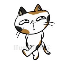 キモカワの猫