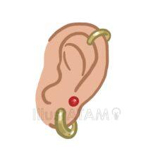 キラキラのピアス