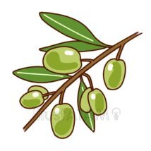 グリーンオリーブ,オリーブ,健康,植物,葉っぱのイラスト素材