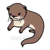 コツメカワウソ