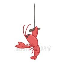 ザリガニ釣り