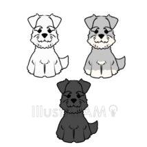 シュナウザー（3点セット）