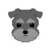 シュナウザー（ダークグレー）